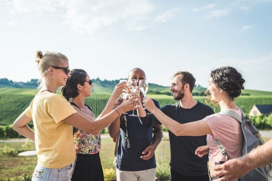 Luxembourg: Moselle Day Trip with Wine Tasting and Boat Tour - What the audio guide adds
