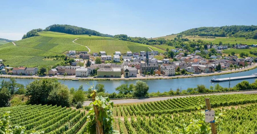 Luxembourg: Moselle Day Trip with Wine Tasting and Boat Tour - The return drive and the day’s main practical concern