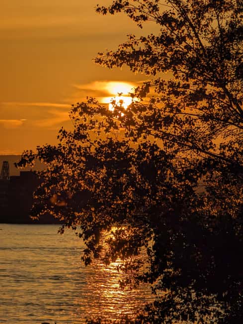 Mainz: guided evening tour of the Rhine embankment/old town in German and English - St. Martin’s Cathedral and the Cathedral Mountains