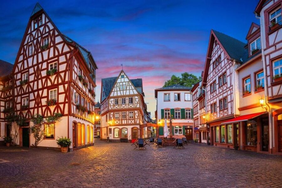 Mainz: Private custom tour with a local guide - Food suggestions and useful advice