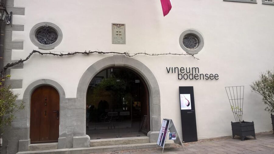 Meersburg: Public city tour with wine tasting - Meersburg Castle and the New Castle