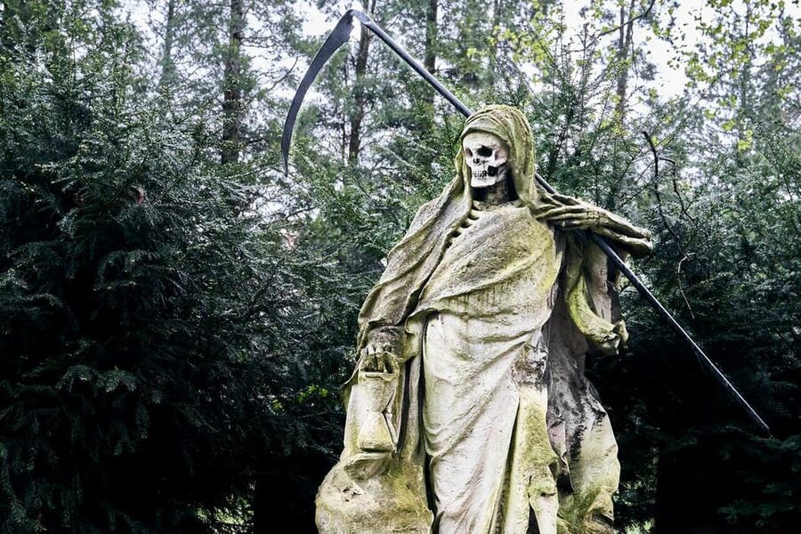 Melaten Friedhof: Guided tour with all senses - Why Melaten feels like both park and cemetery