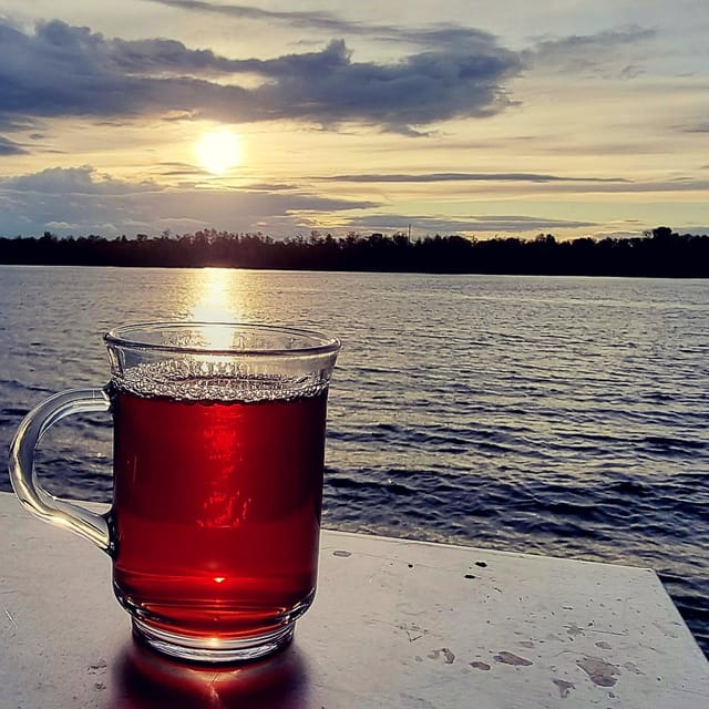 Mulled wine ride in the Leipzig New Zealand - Key points to know before booking