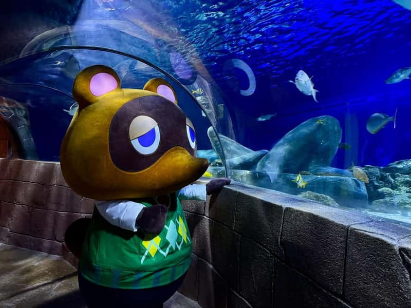 Munich: Day Ticket to Sea Life - Key Things to Know Before You Go
