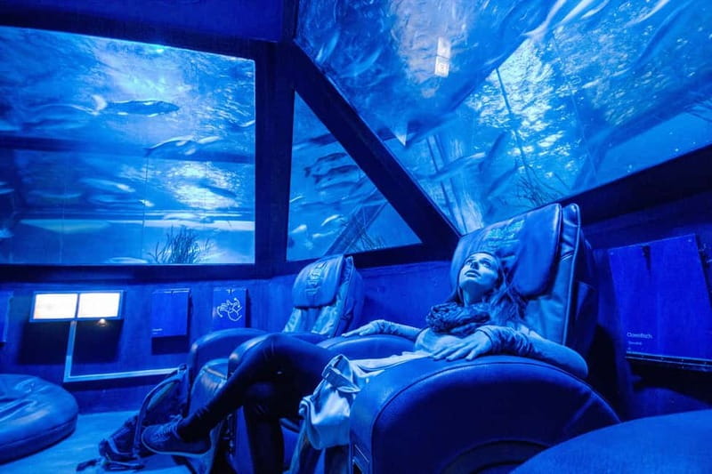 Munich: Day Ticket to Sea Life - Who Will Enjoy Sea Life Munich Most?