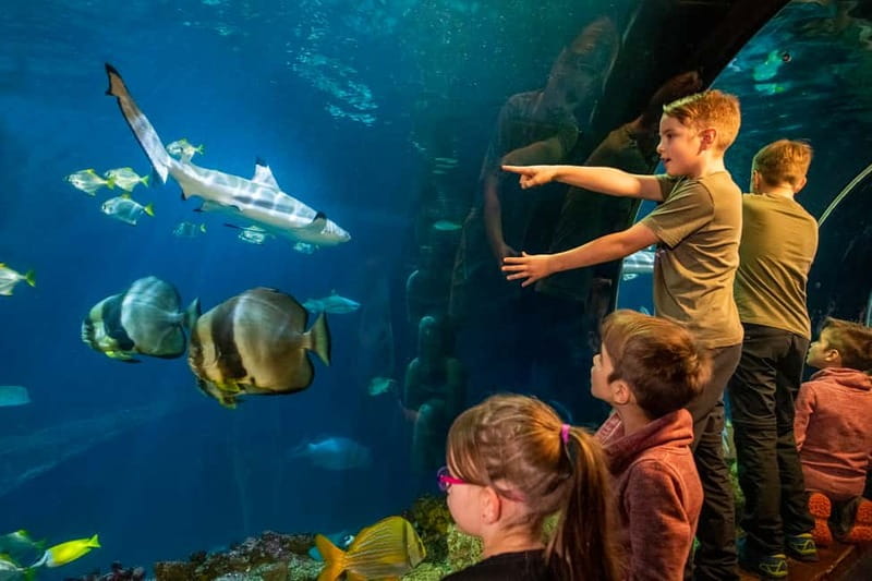 Munich: Day Ticket to Sea Life - Starting at Olympic Park