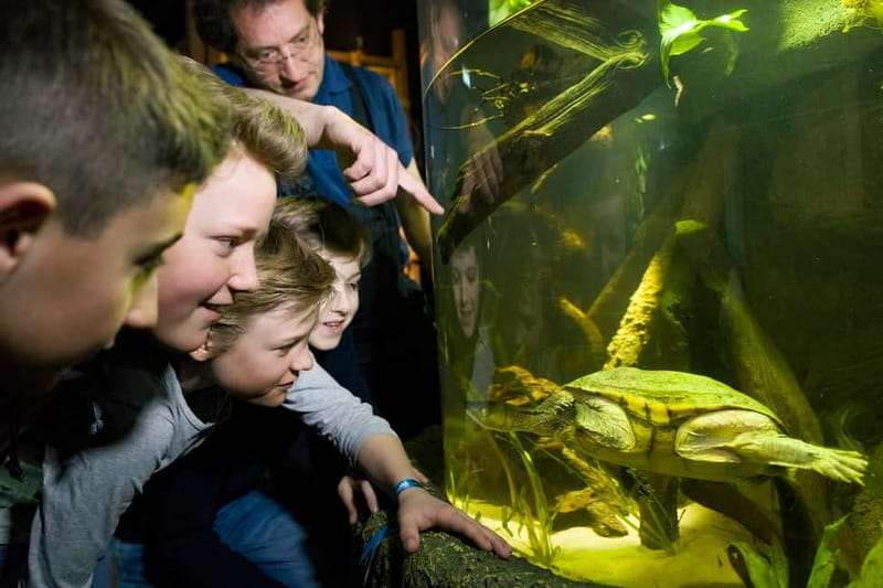 Munich: Day Ticket to Sea Life - The Coral Cave and Seahorse Bay