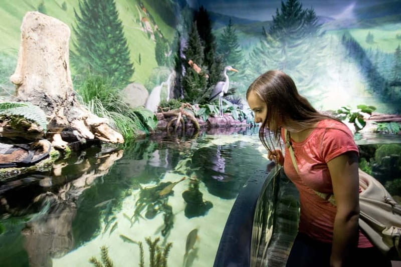 Munich: Day Ticket to Sea Life - Mediterranean Port and Atlantic Waters