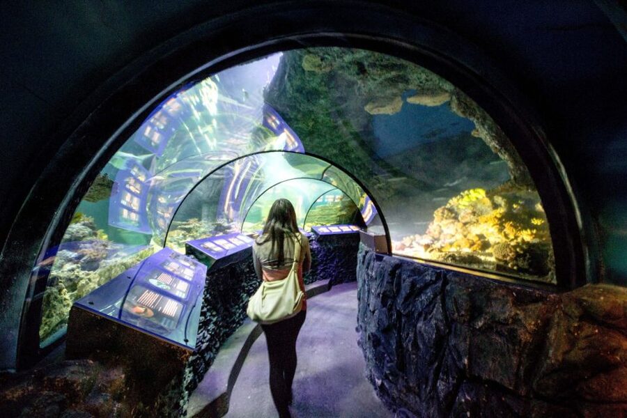 Munich: Day Ticket to Sea Life - Feeding Times Add Energy