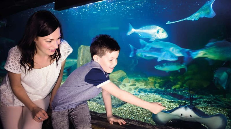 Munich: Day Ticket to Sea Life - Is $25 a Fair Price?