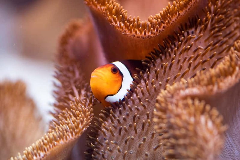 Munich: Day Ticket to Sea Life - From the Isar River to the Tropical Ocean