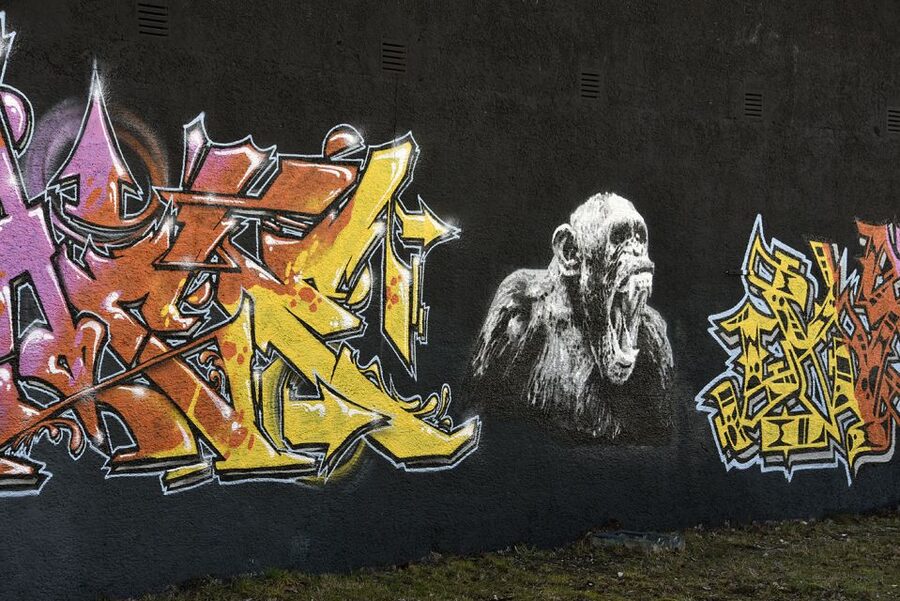 Munich: Street Art Bike Tour - Is the $40 price good value?