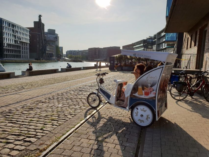 Münster: Private Guided Rickshaw City Tour - Aasee and Münster’s sculpture-filled shore