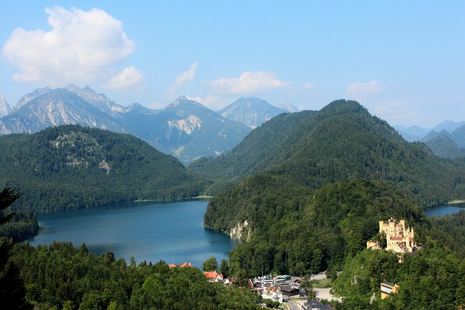 Neuschwanstein Castle Tour with Skip the Line from Hohenschwangau - The horse-drawn carriage back to Hohenschwangau