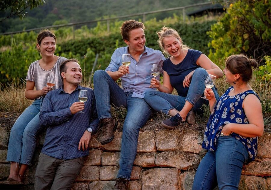 Neustadt: Wine tasting with cellar tour and vineyard visit - A family winery with roots in the Palatinate