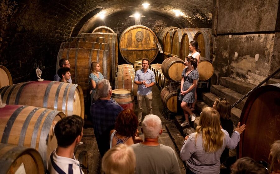 Neustadt: Wine tasting with cellar tour and vineyard visit - Inside the vaulted wooden barrel cellar
