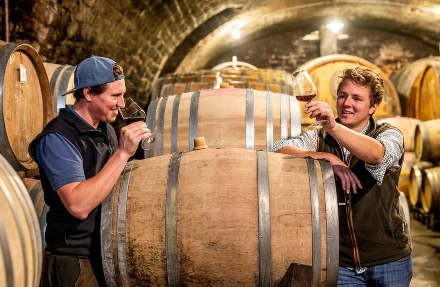 Neustadt: Wine tasting with cellar tour and vineyard visit - Should you book the Stolleis wine experience?