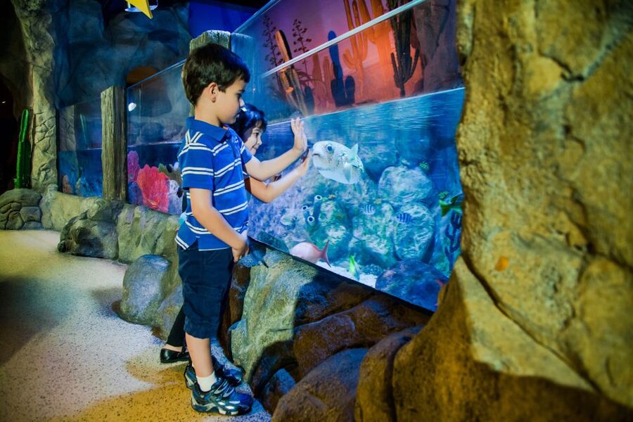 Oberhausen: LEGOLAND Discovery Centre and SEA LIFE Ticket - Key points to know before you go
