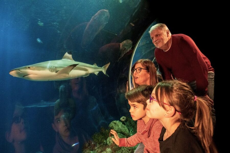Oberhausen: LEGOLAND Discovery Centre and SEA LIFE Ticket - Two indoor rides and the 4D cinema