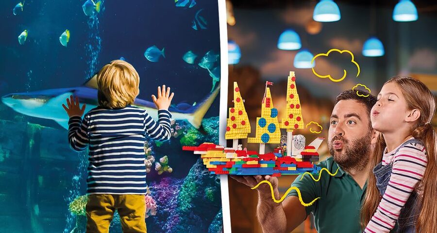 Oberhausen: LEGOLAND Discovery Centre and SEA LIFE Ticket - Germany’s largest shark nursery