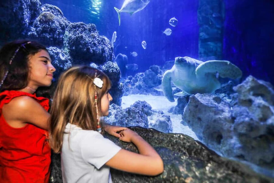 Oberhausen: SEA LIFE Oberhausen Entry Ticket - Key points at a glance