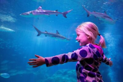 SEA LIFE Oberhausen Entry Ticket