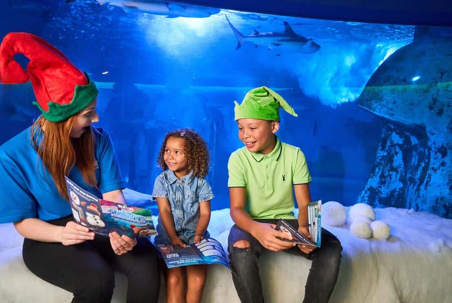 Oberhausen: SEA LIFE Oberhausen Entry Ticket - Otters, jellyfish, rays, and the smaller surprises