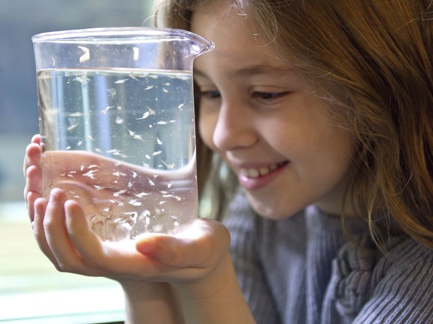 Oberhausen: SEA LIFE Ticket and Behind the Scenes Tour - Who Will Enjoy This Most