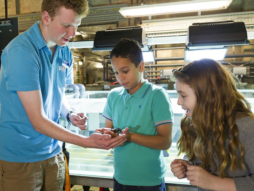 Oberhausen: SEA LIFE Ticket and Behind the Scenes Tour - Looking Through the Laboratory Microscope