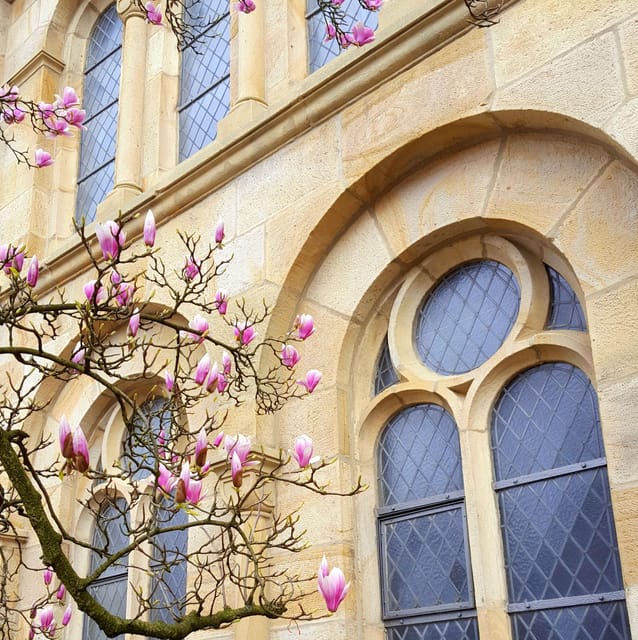Osnabrück: Rathaus- und Altstadt Tour (Stadtführung) - Who should book this Osnabrück walk?