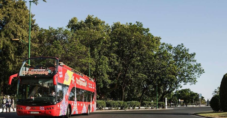 Potsdam: City Sightseeing Hop-On Hop-Off Bus Tour - Why a bus tour works well in Potsdam