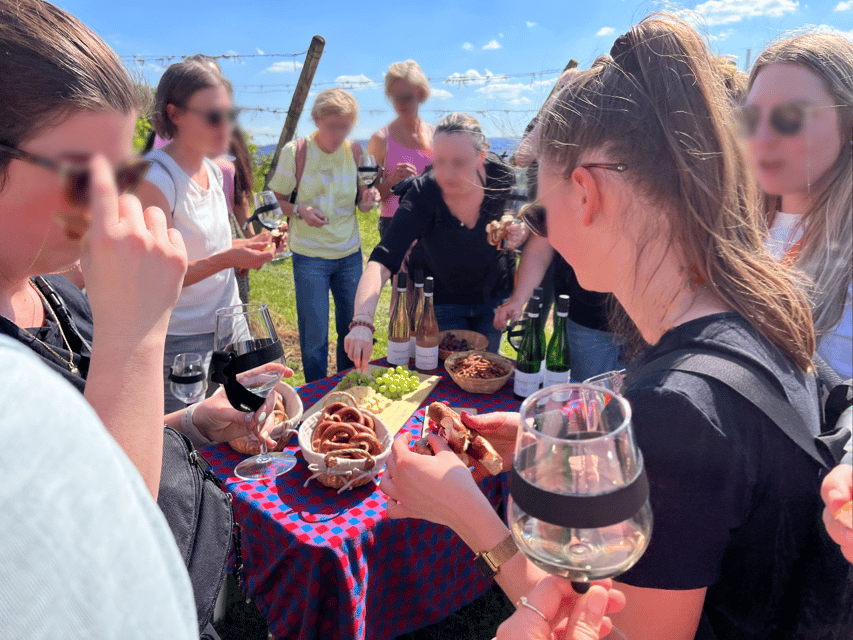 Premium wine hike Stuttgart with games and winemaker's snack - A Stuttgart wine outing with a social twist