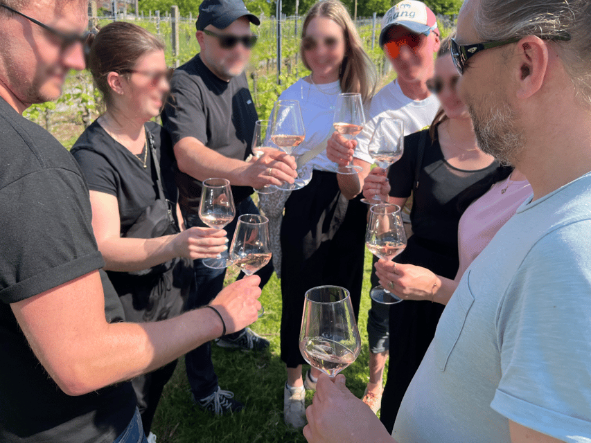 Premium wine hike Stuttgart with games and winemaker's snack - Five regional wines, explained without the lecture hall