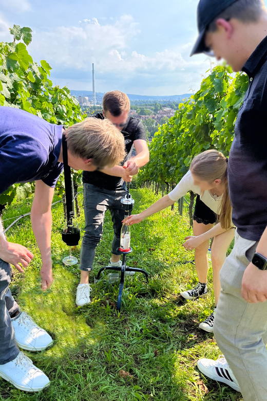 Premium wine hike Stuttgart with games and winemaker's snack - Pretzels, cheese, grapes, and the premium question