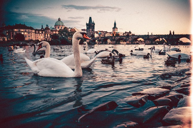 Private Transfer from Berlin to Prague with 2h of Sightseeing - My practical booking advice