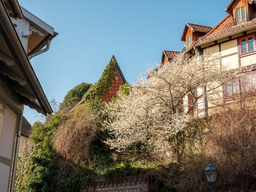 Quedlinburg: Guided City Highlights Walking Tour - Reading Quedlinburg through its timber-framed houses