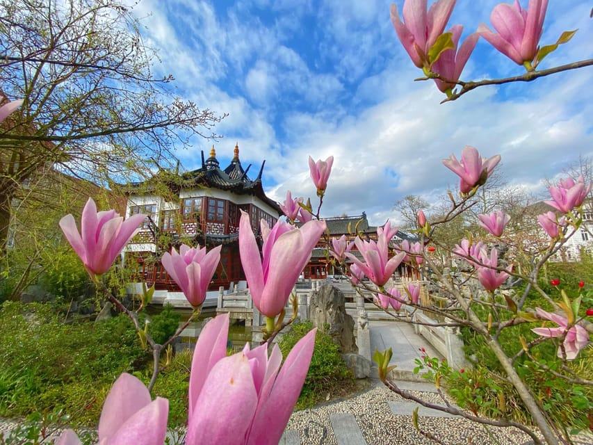Radtour um die Alster & durch traumhafte Alsterviertel - Is the $43 Price Fair?