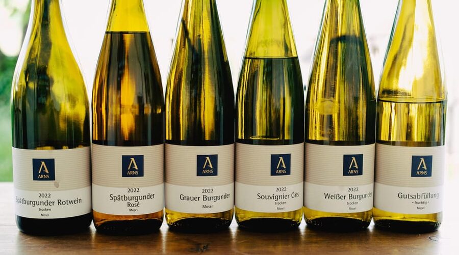 Reil, Mosel: Guided organic wine tasting and cellar tour - Among the Organic Vines for One Hour