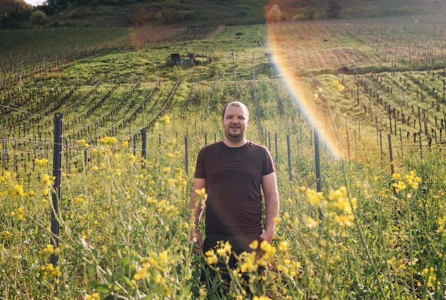 Reil, Mosel: Guided organic wine tasting and cellar tour - Tasting Four or Five Organic Wines