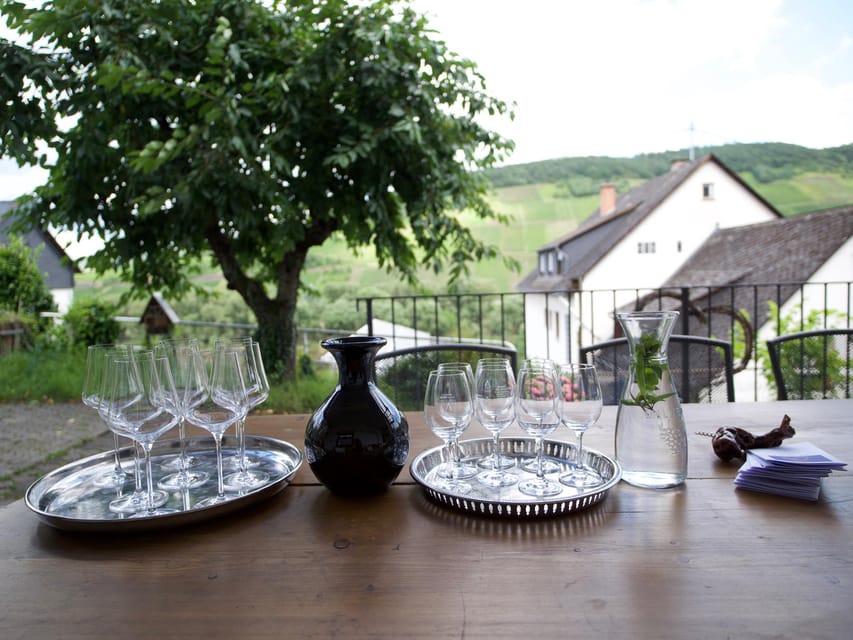 Reil, Mosel: Guided organic wine tasting and cellar tour - Price, Timing, and Overall Value
