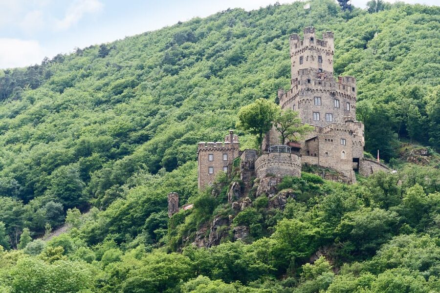 Rhine Valley Castles: 1.5-Hour Boat Tour from Rüdesheim - Food, drinks, and the cash-only warning