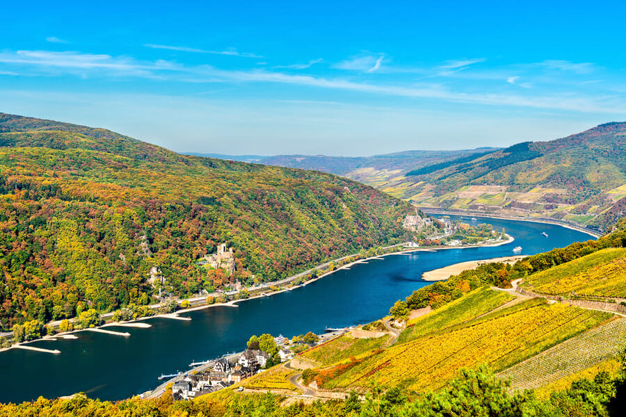 Rhine Valley Castles: 1.5-Hour Boat Tour from Rüdesheim - Rheinstein and Reichenstein, two classic castle views