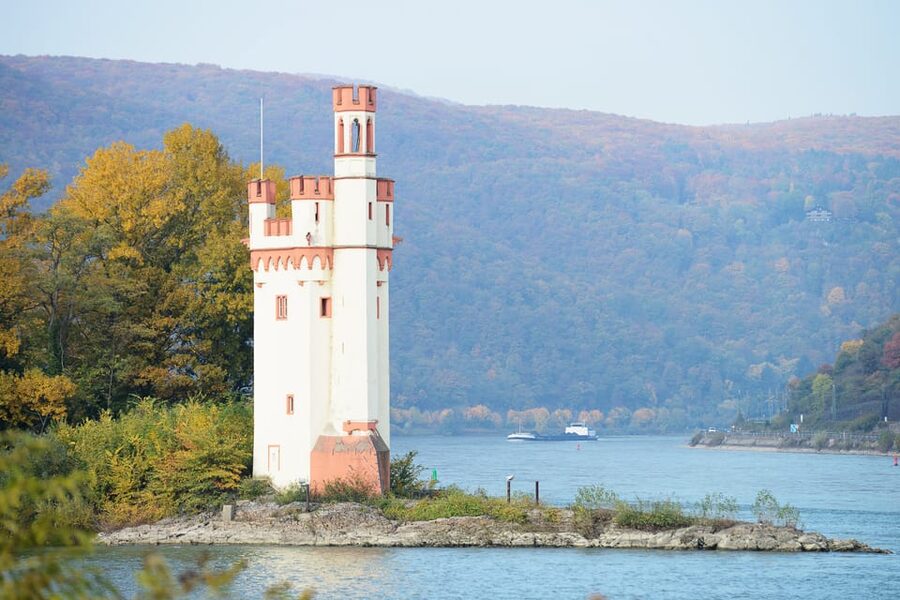 Rhine Valley Castles: 1.5-Hour Boat Tour from Rüdesheim - Ehrenfels ruins and the Mouse Tower