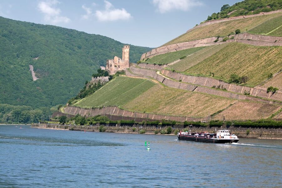 Rhine Valley Castles: 1.5-Hour Boat Tour from Rüdesheim - Bingen, the Nahe River, and Klopp Castle