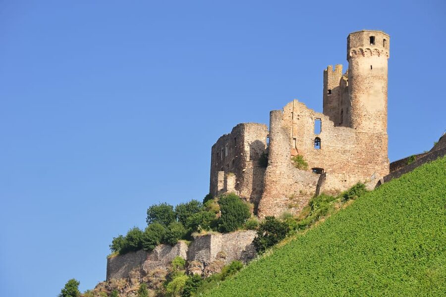 Rhine Valley Castles: 1.5-Hour Boat Tour from Rüdesheim - The Niederwald Monument and Germania