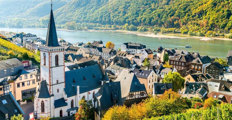 Rhine Valley: Half Day Tour from Frankfurt - Vineyards, castles, and the old river villages