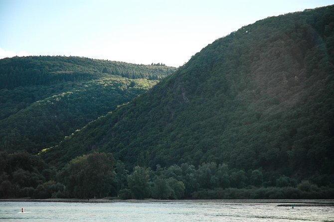Rhine Valley Trip from Frankfurt including Rhine River Cruise - The wine lesson and tasting: useful, but modest