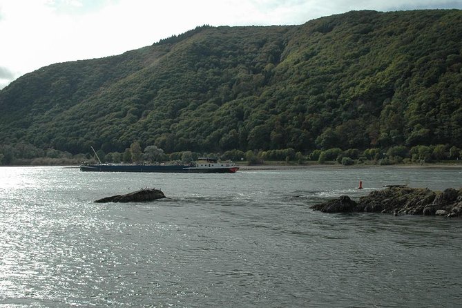 Rhine Valley Trip from Frankfurt including Rhine River Cruise - Seasonal planning and changes to the boat ride