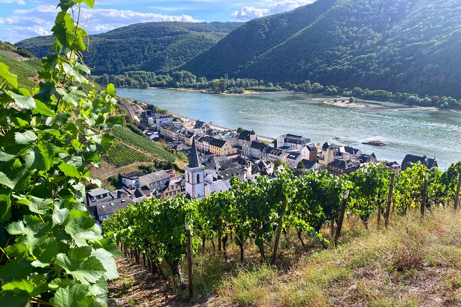 Rhine Valley Wine Tasting Tour from Frankfurt and Mainz - Key points to know before booking