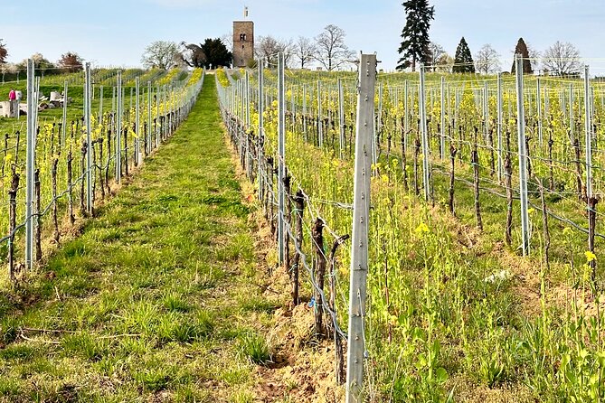 Rhine Valley Wine Tasting Tour from Frankfurt and Mainz - Carl’s hosting style and local connections